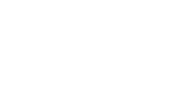 Denver Film Festival 2022 Official Selection